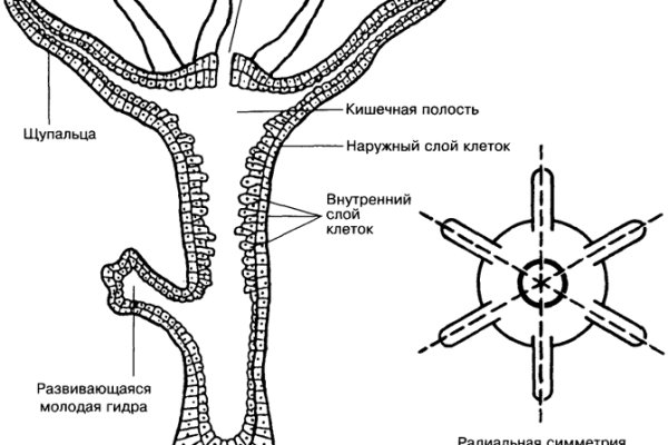 Где можно купить гашиш